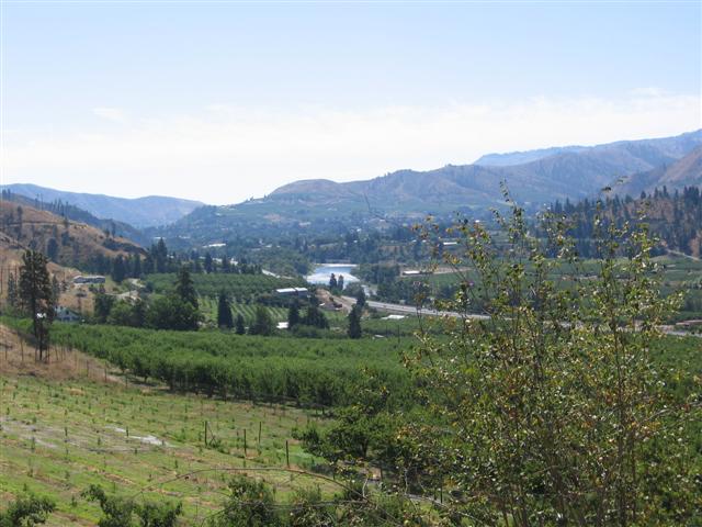 Wenatchee Valley near Dryden